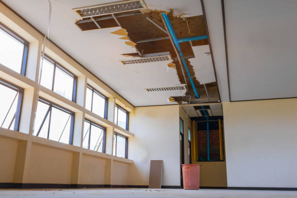 Best Water damage contractors near me  in South Kensington, MD