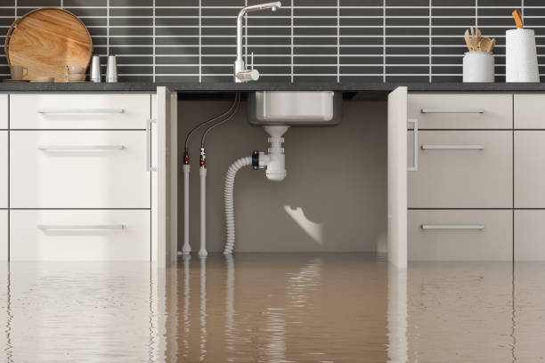 Best Water damage restoration company  in South Kensington, MD