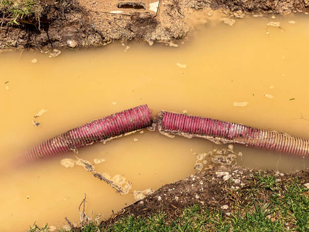 Best Water damage restoration near me  in South Kensington, MD